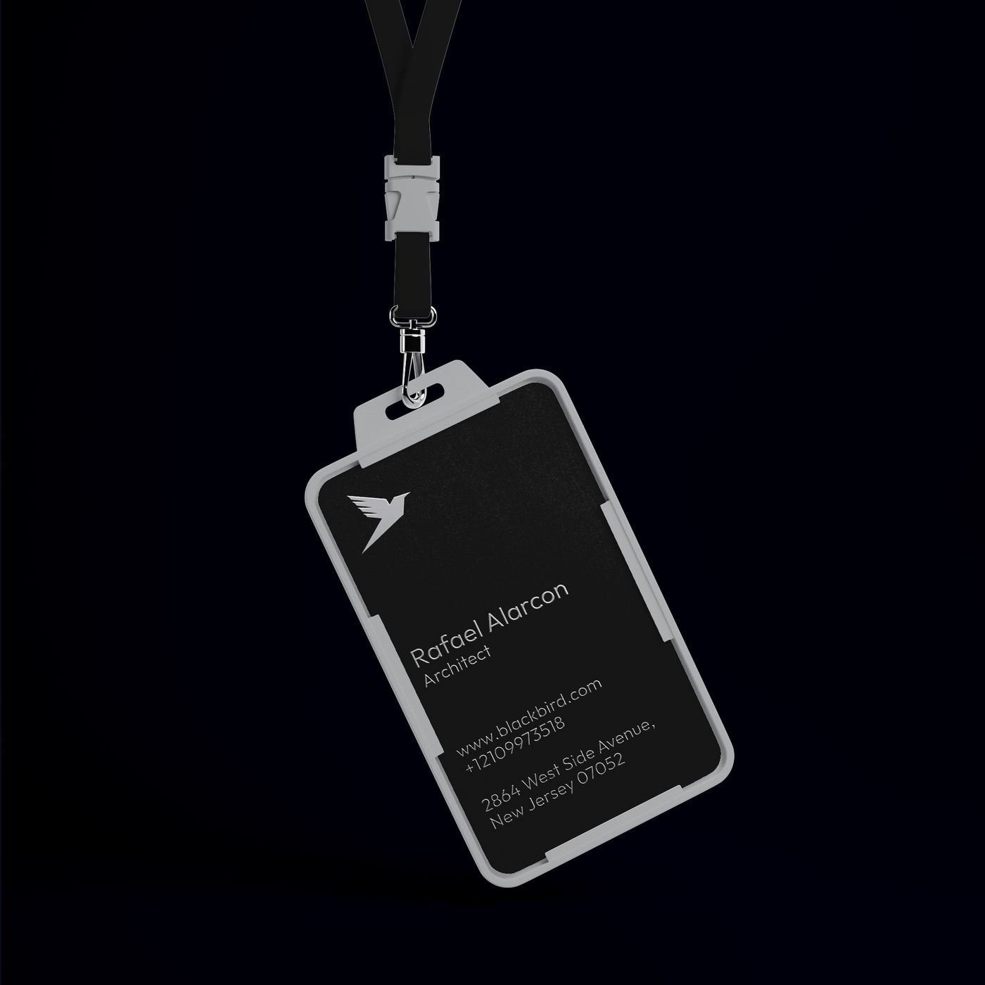 Blackbird brand identity, image 1