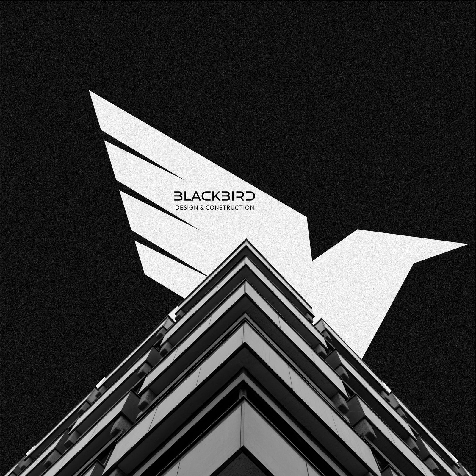 Blackbird brand identity, image 5