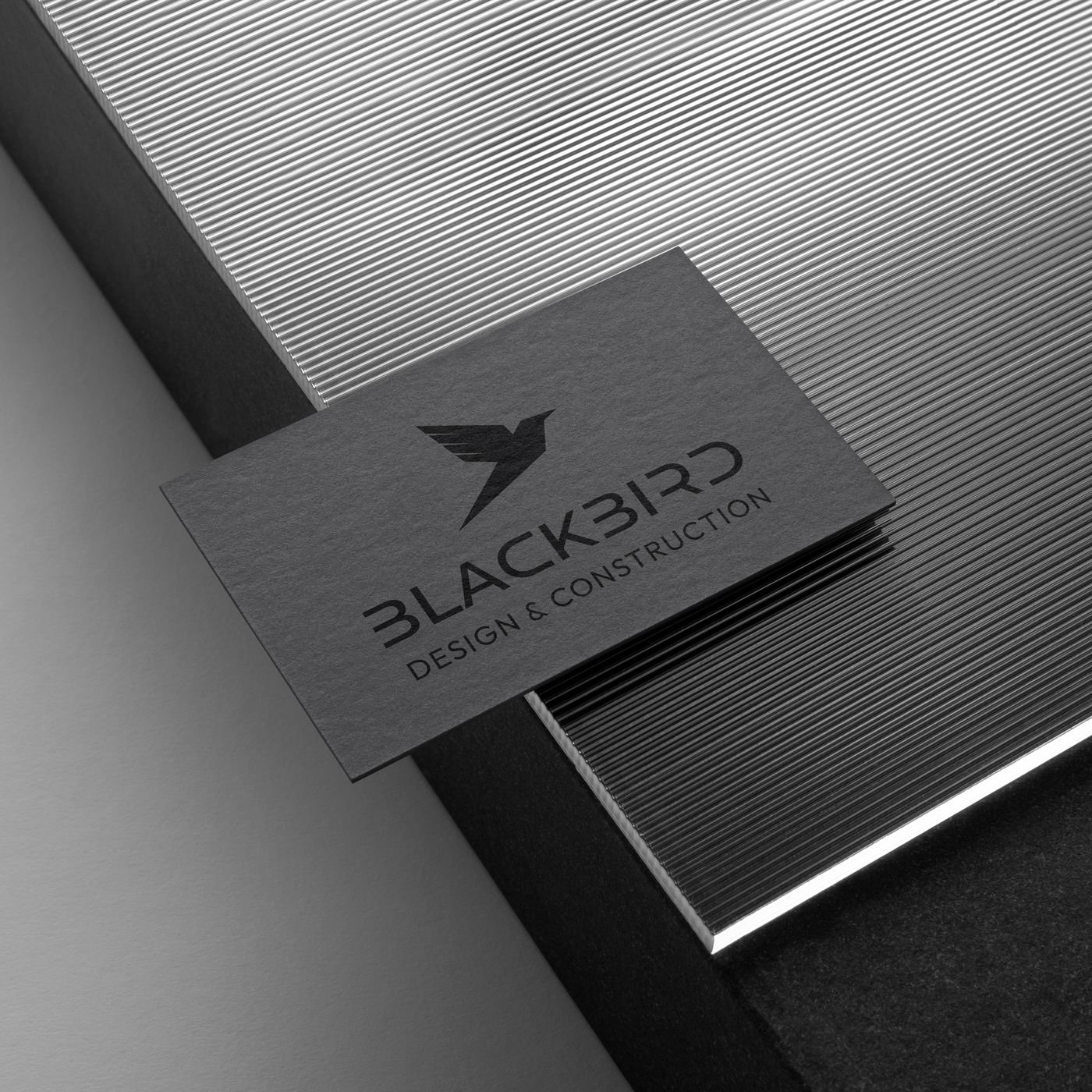 Blackbird brand identity, image 6