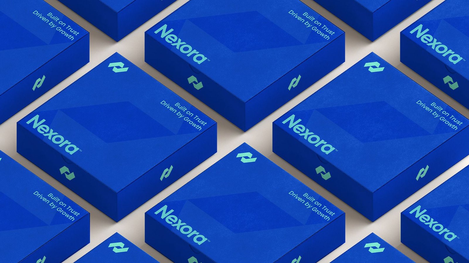 Nexora brand identity, image 14