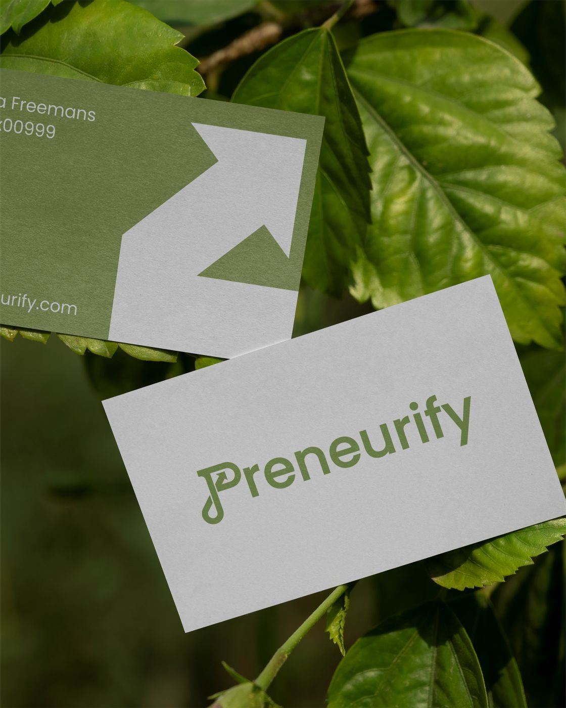 Preneurify brand identity, image 3